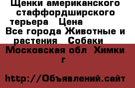 Щенки американского стаффордширского терьера › Цена ­ 20 000 - Все города Животные и растения » Собаки   . Московская обл.,Химки г.